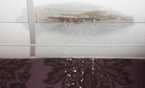 Plumber Green Valley